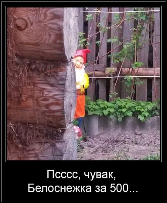 Демотиваторы (30 фото)