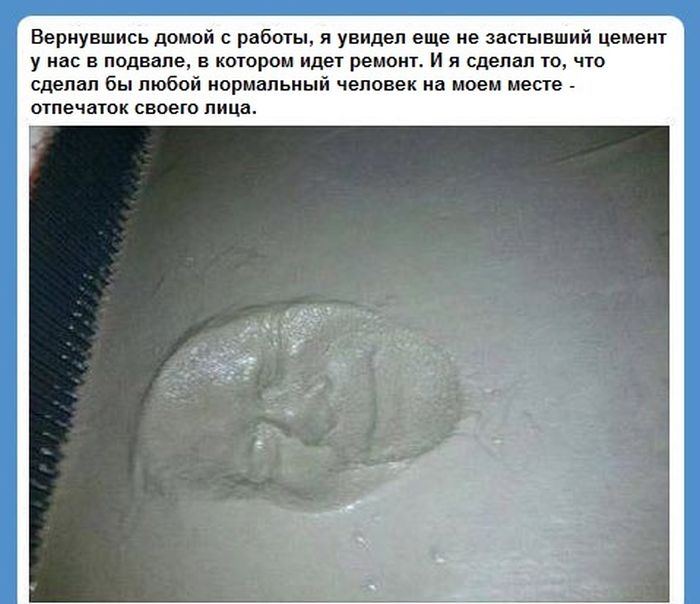 Забавные картинки