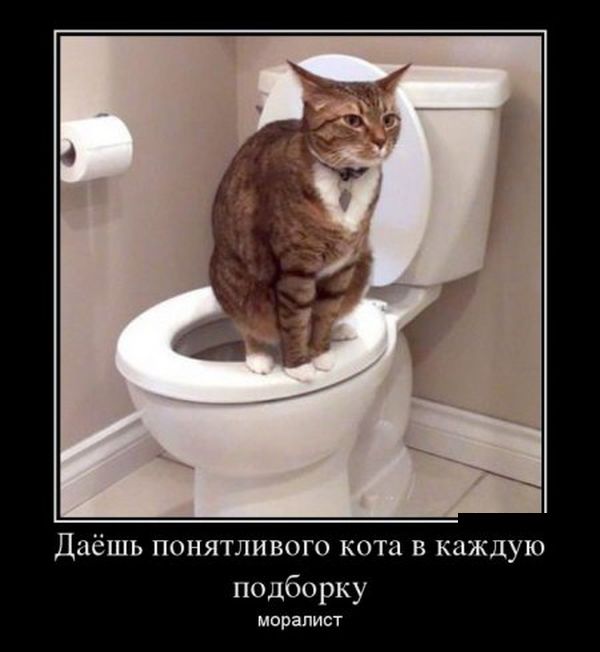 Демотиваторы (30 фото)