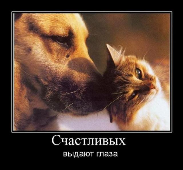Демотиваторы (30 фото)
