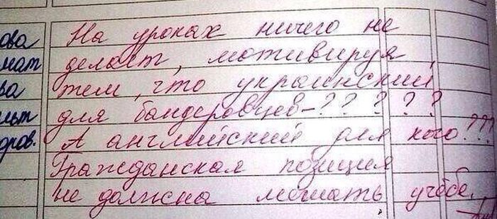 Забавные картинки