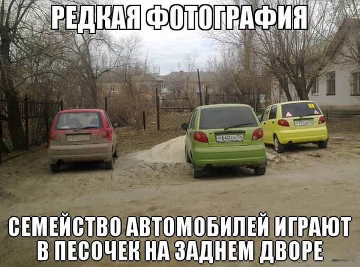 Забавные картинки