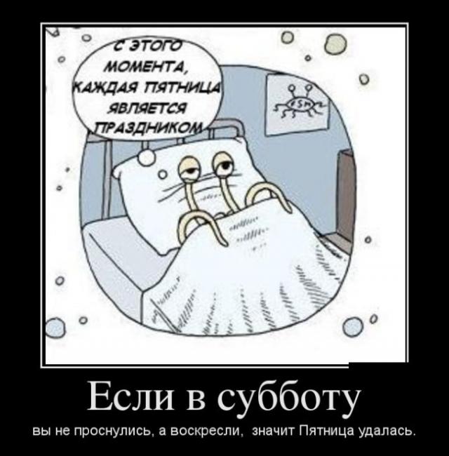 Демотиваторы (30 фото)