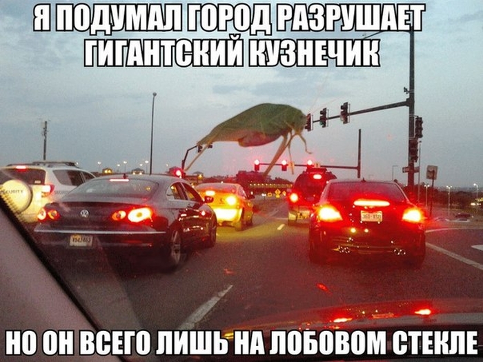 Забавные картинки