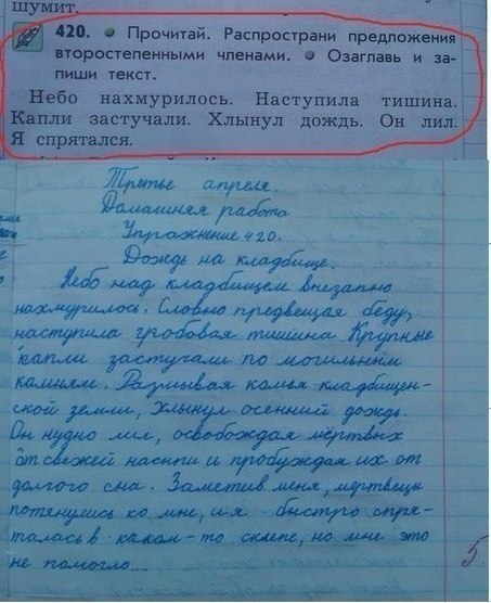 Забавные картинки