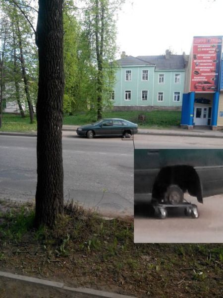 Забавные картинки