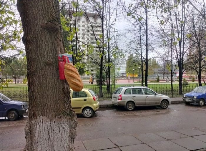 Забавные картинки