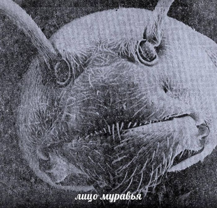 Забавные картинки