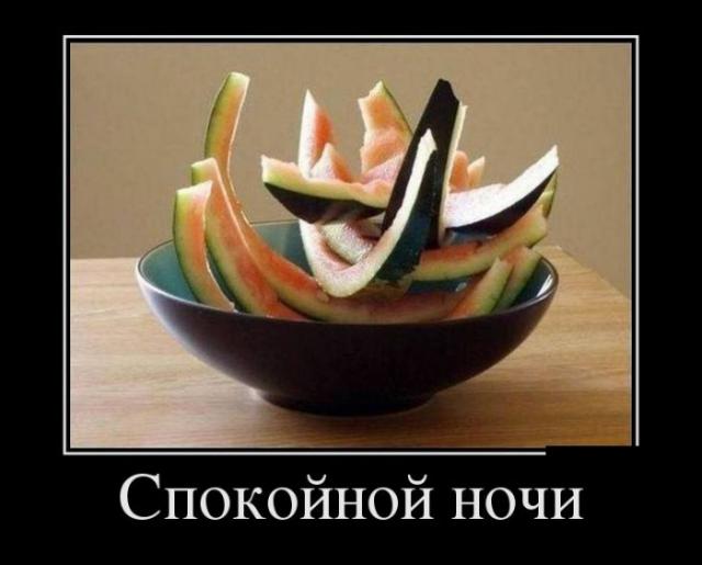Демотиваторы (30 фото)