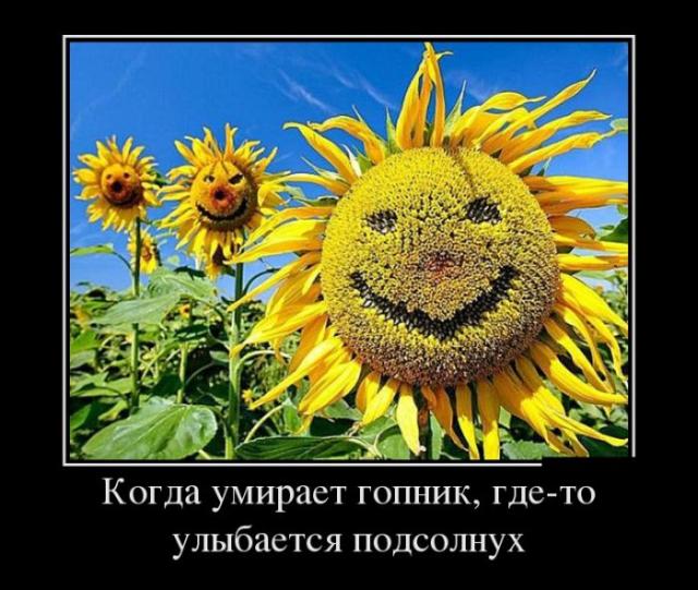 Демотиваторы (30 фото)