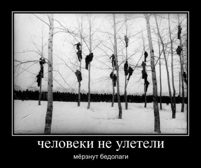 Демотиваторы (30 фото)