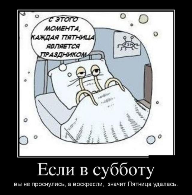 Демотиваторы (30 фото)