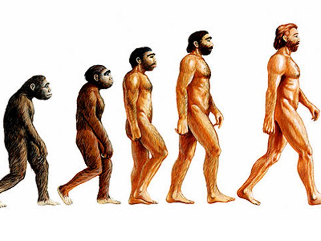 Загадка "морских пришельцев": американские ученые опровергли теорию эволюции