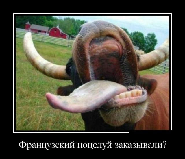 Демотиваторы (30 фото)