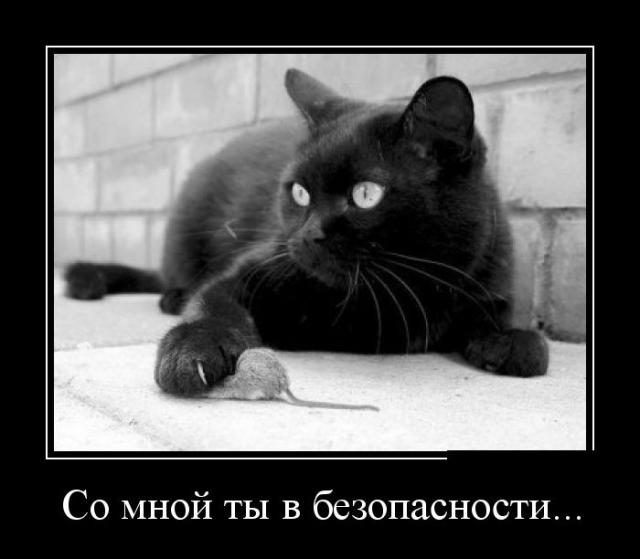 Демотиваторы (30 фото)