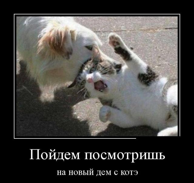 Демотиваторы (30 фото)