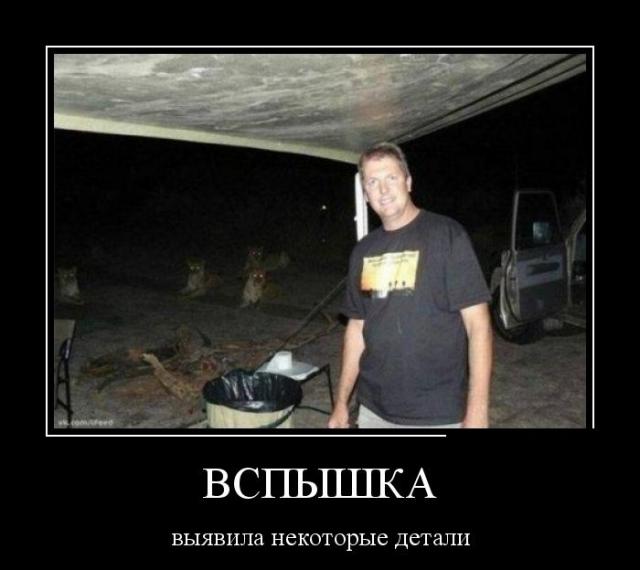 Демотиваторы (30 фото)