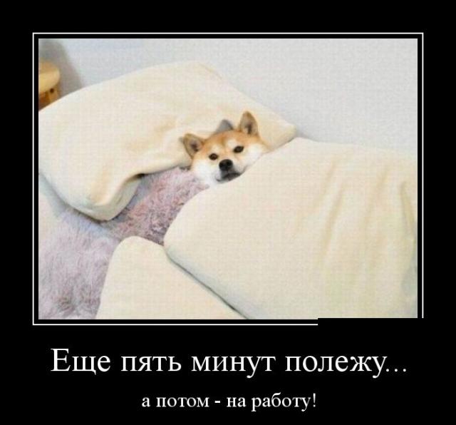 Демотиваторы (30 фото)
