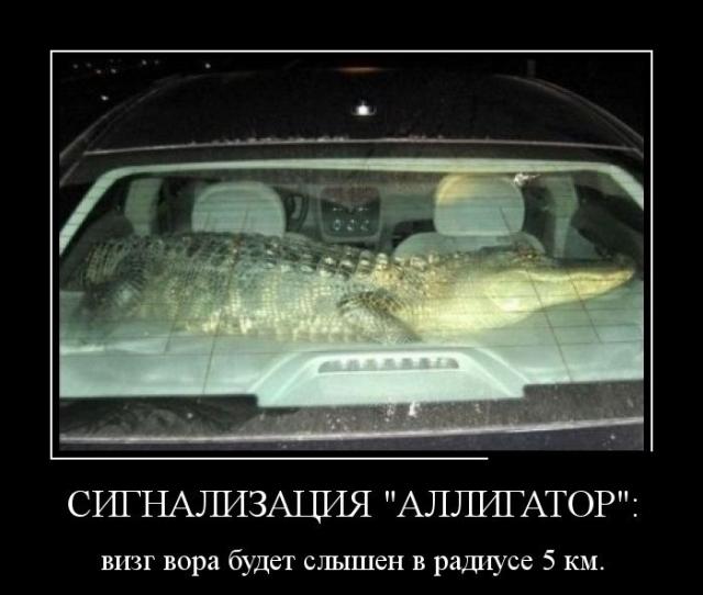 Демотиваторы (30 фото)