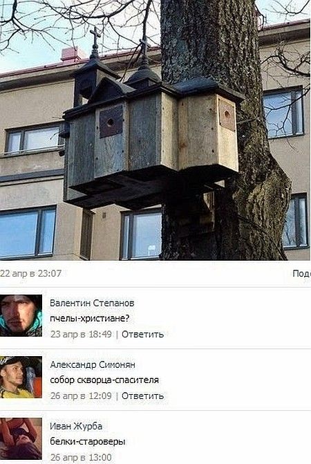 Забавные картинки