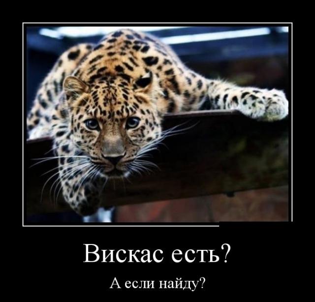Демотиваторы (30 фото)