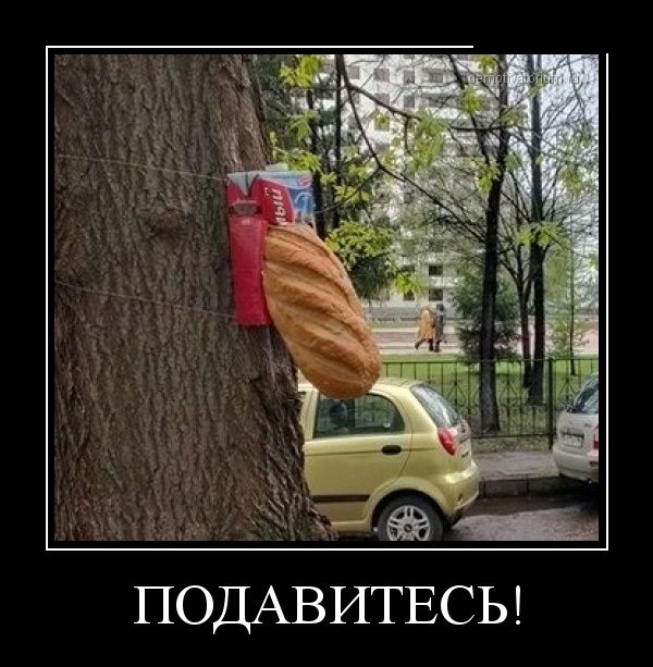 Демотиваторы (30 фото)