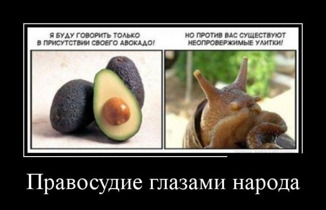Демотиваторы (30 фото)