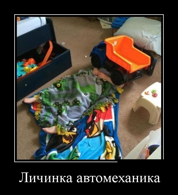 Демотиваторы (30 фото)