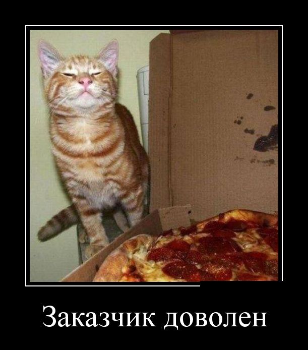 Демотиваторы (30 фото)
