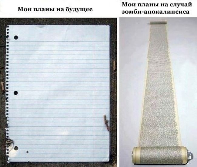 Забавные картинки