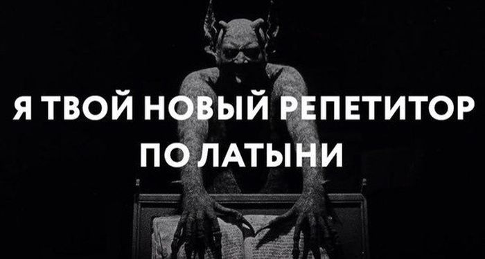Забавные картинки