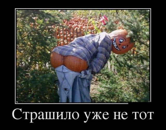 Демотиваторы (30 фото)