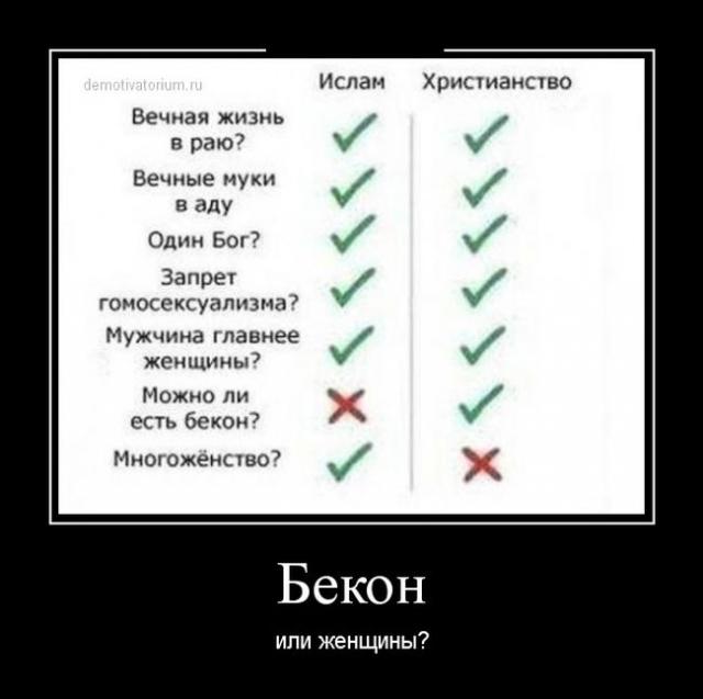 Демотиваторы (30 фото)