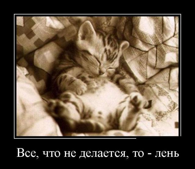 Демотиваторы (30 фото)