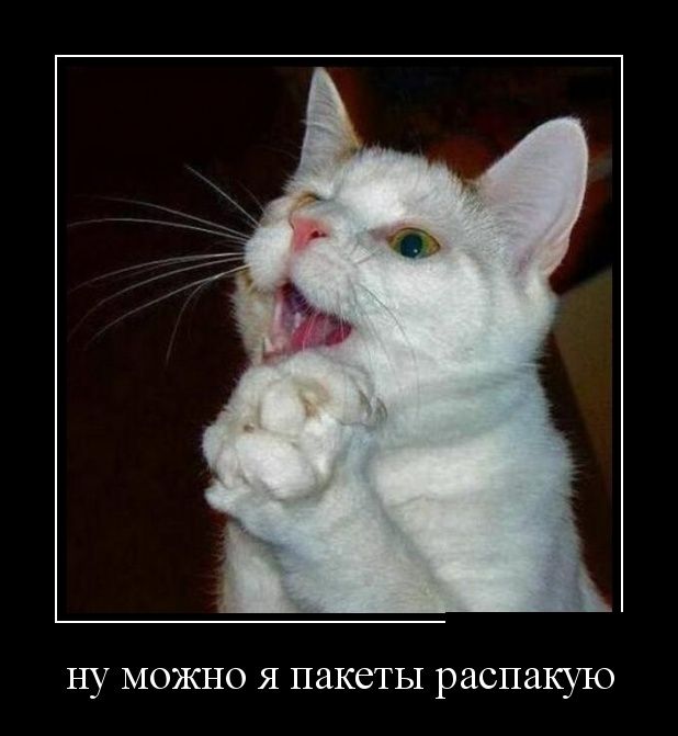 Демотиваторы (30 фото)
