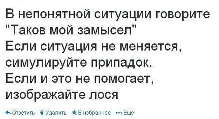 Забавные картинки