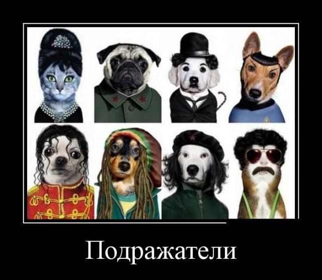 Демотиваторы (30 фото)