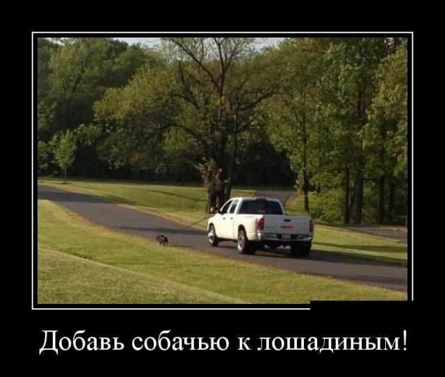 Демотиваторы (30 фото)