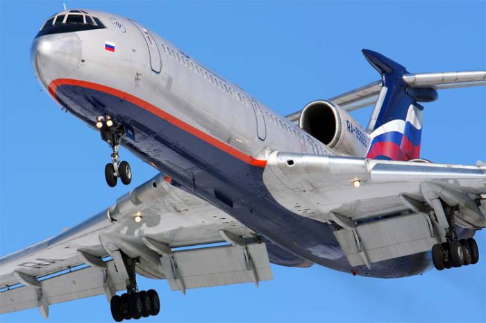 Встреча гуся с самолетом Ту-154м
