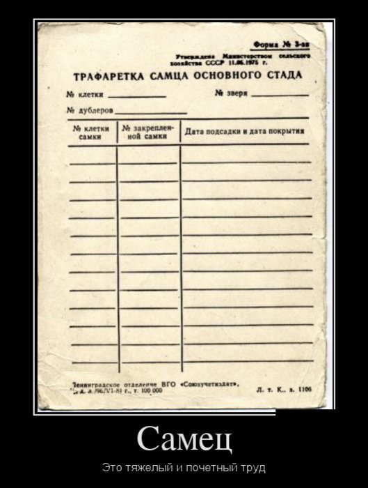 Демотиваторы (30 фото)