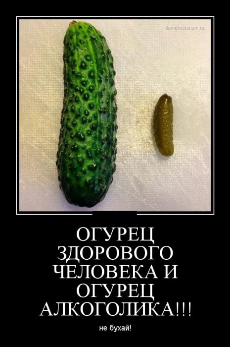 Демотиваторы (30 фото)