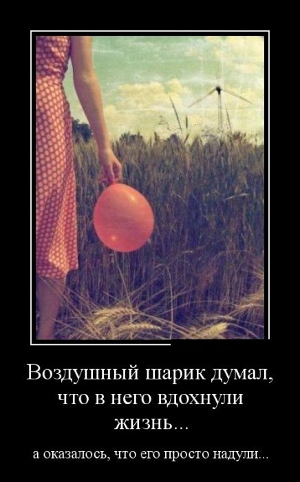 Демотиваторы (30 фото)