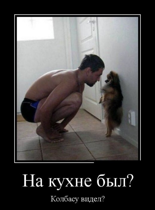 Демотиваторы (30 фото)