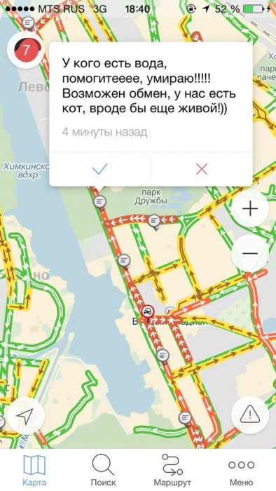 Забавные картинки