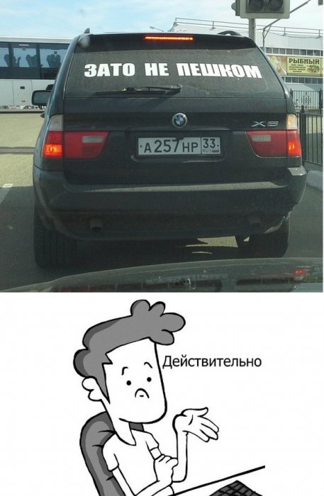 Забавные картинки
