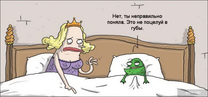 Забавные картинки