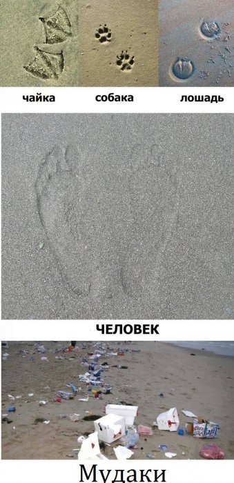 Забавные картинки