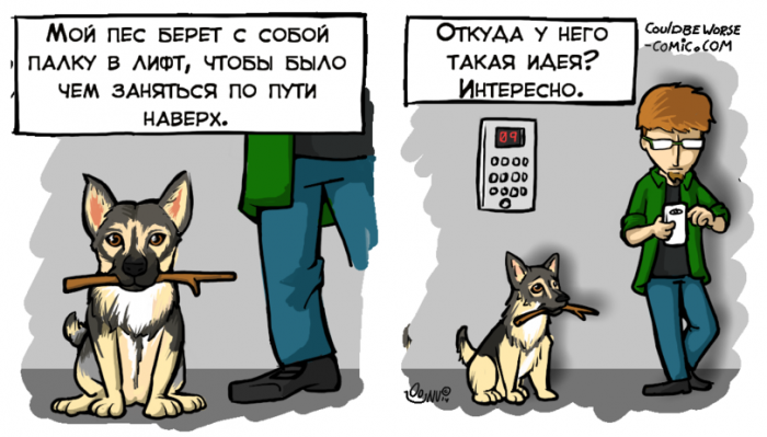 Забавные картинки
