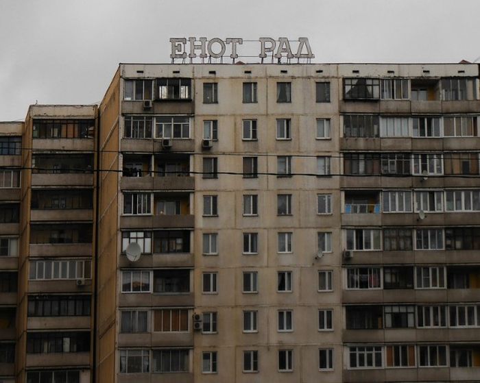 Забавные картинки