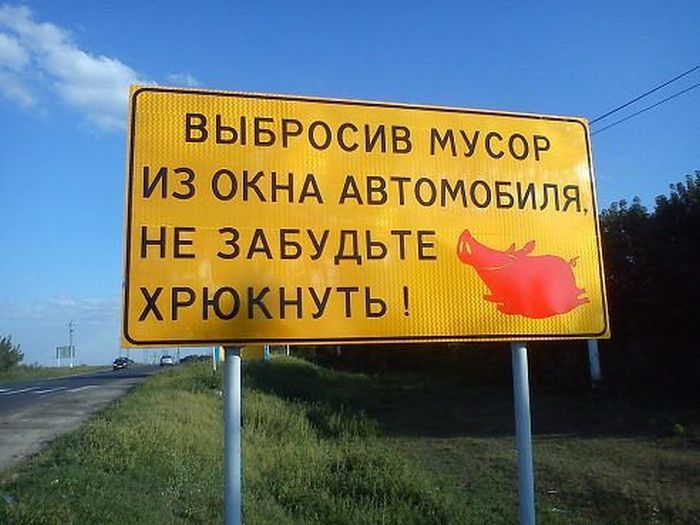 Забавные картинки